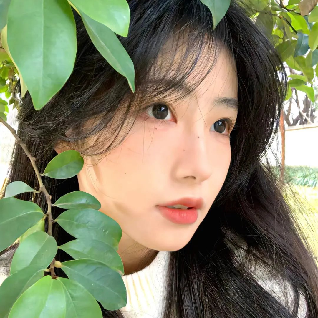 桃花映江山$花朝