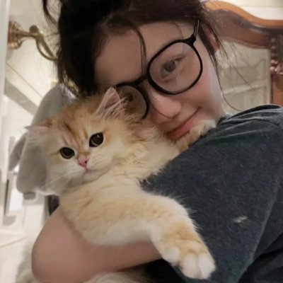 奇思妙探第三季