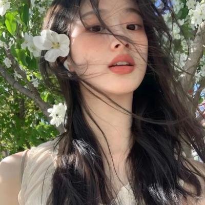 喜羊羊与灰太狼之奇趣外星客